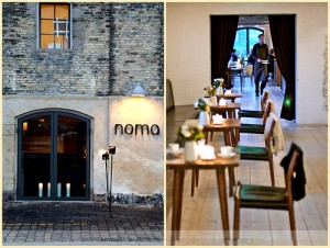 noma1